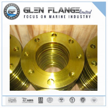 Metal Forging Flange